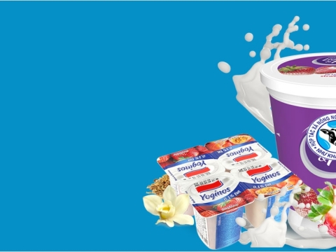 Lorem Ipsum has been the industry